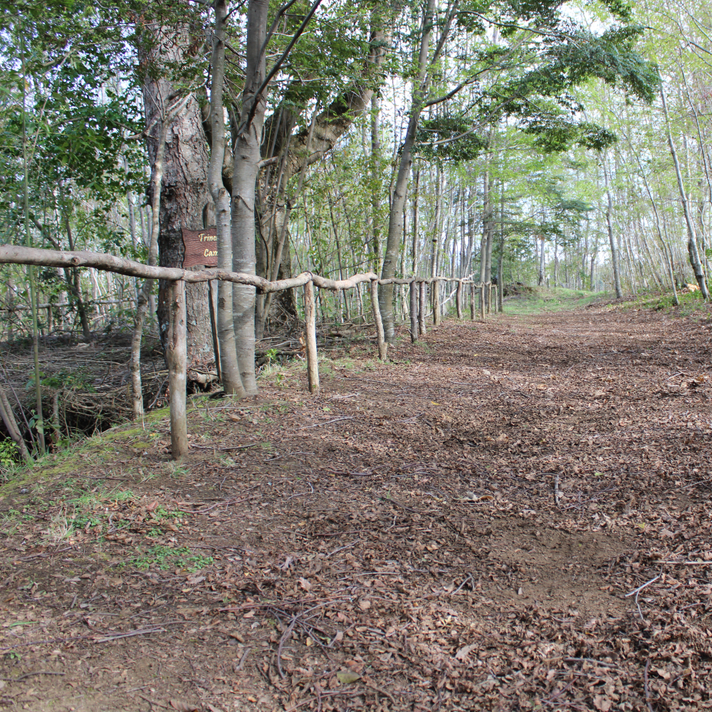 Guiado en Fortín Mapuche + cupón de consumo en Gastronomía Típica