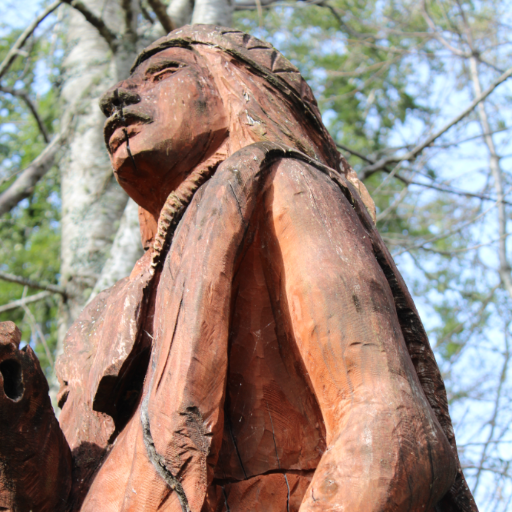 Guiado en Fortín Mapuche + cupón de consumo en Gastronomía Típica