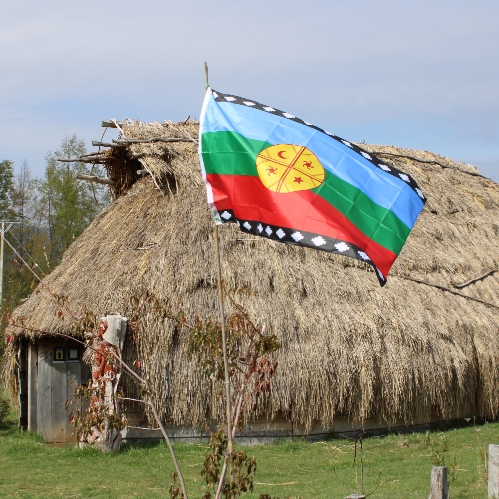 Guiado en Fortín Mapuche + cupón de consumo en Gastronomía Típica
