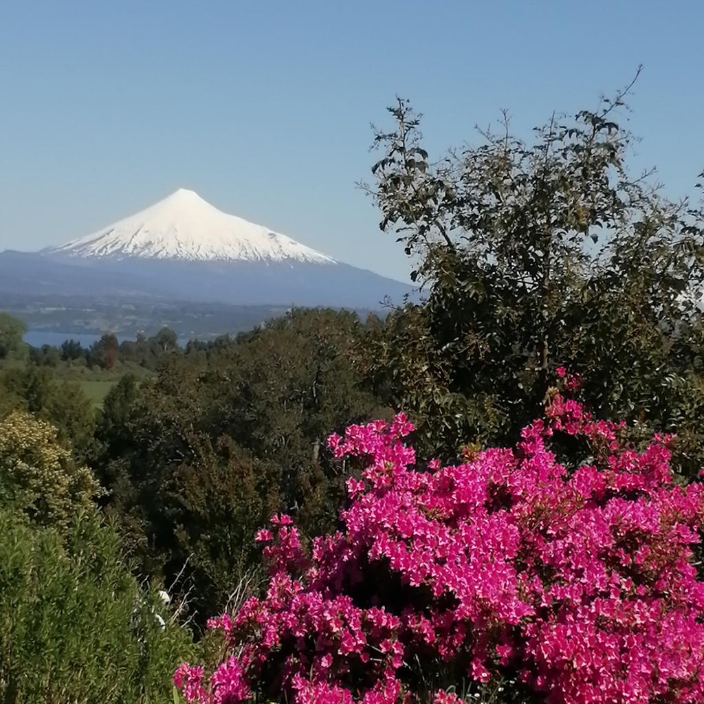 Quincho Tierra Sur - Puyehue