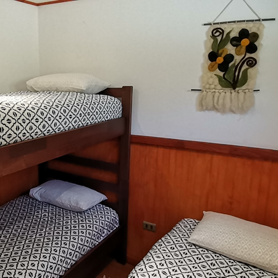 Cabin for up to 5 people in Ruka Pehuen, Panguipulli