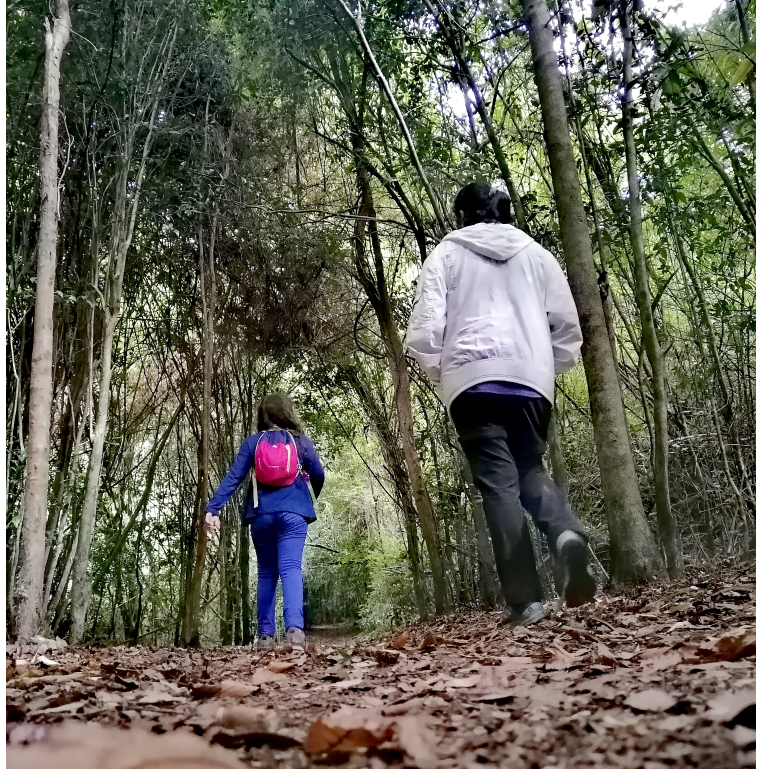 Disfruta la Selva Valdiviana en Puyehue por el día