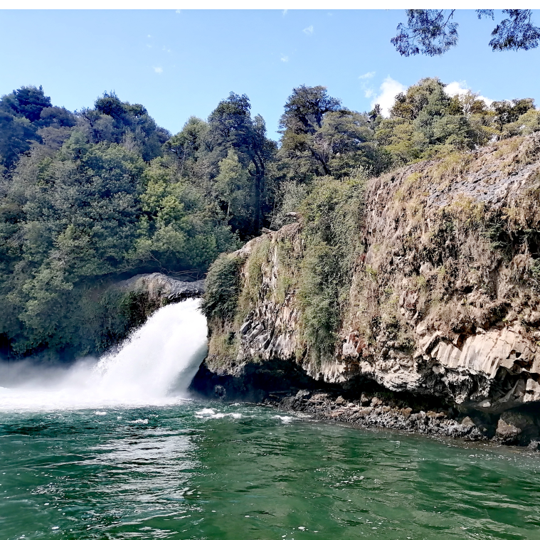 Disfruta la Selva Valdiviana en Puyehue por el día