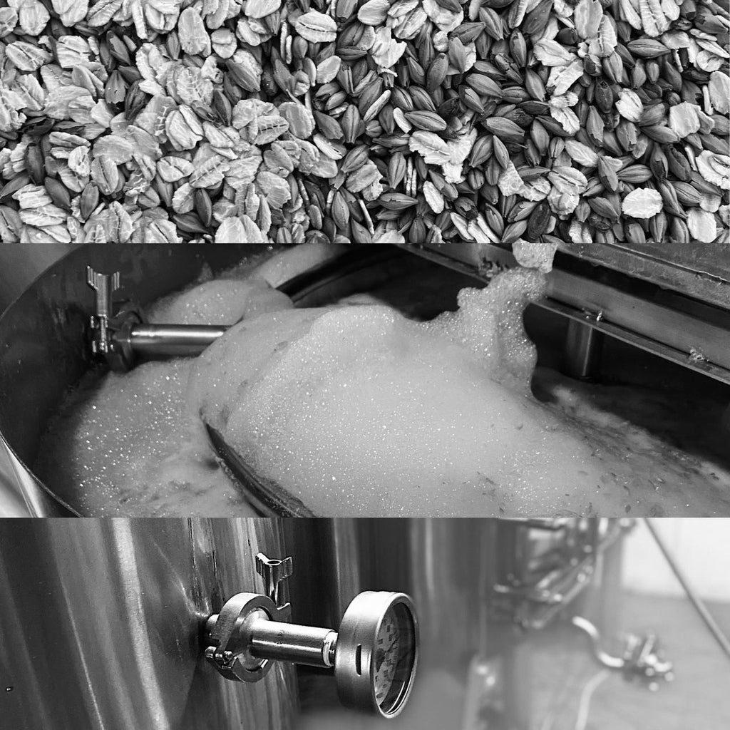 Tasting of craft beer with pairing at Truful brewery