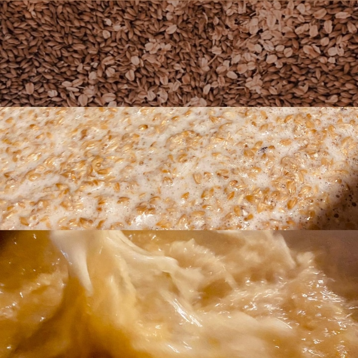 Tasting of craft beer with pairing at Truful brewery