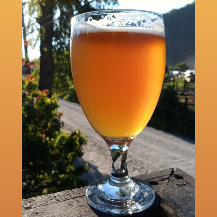 Tasting of craft beer with pairing at Truful brewery