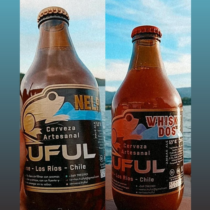 Tasting of craft beer with pairing at Truful brewery