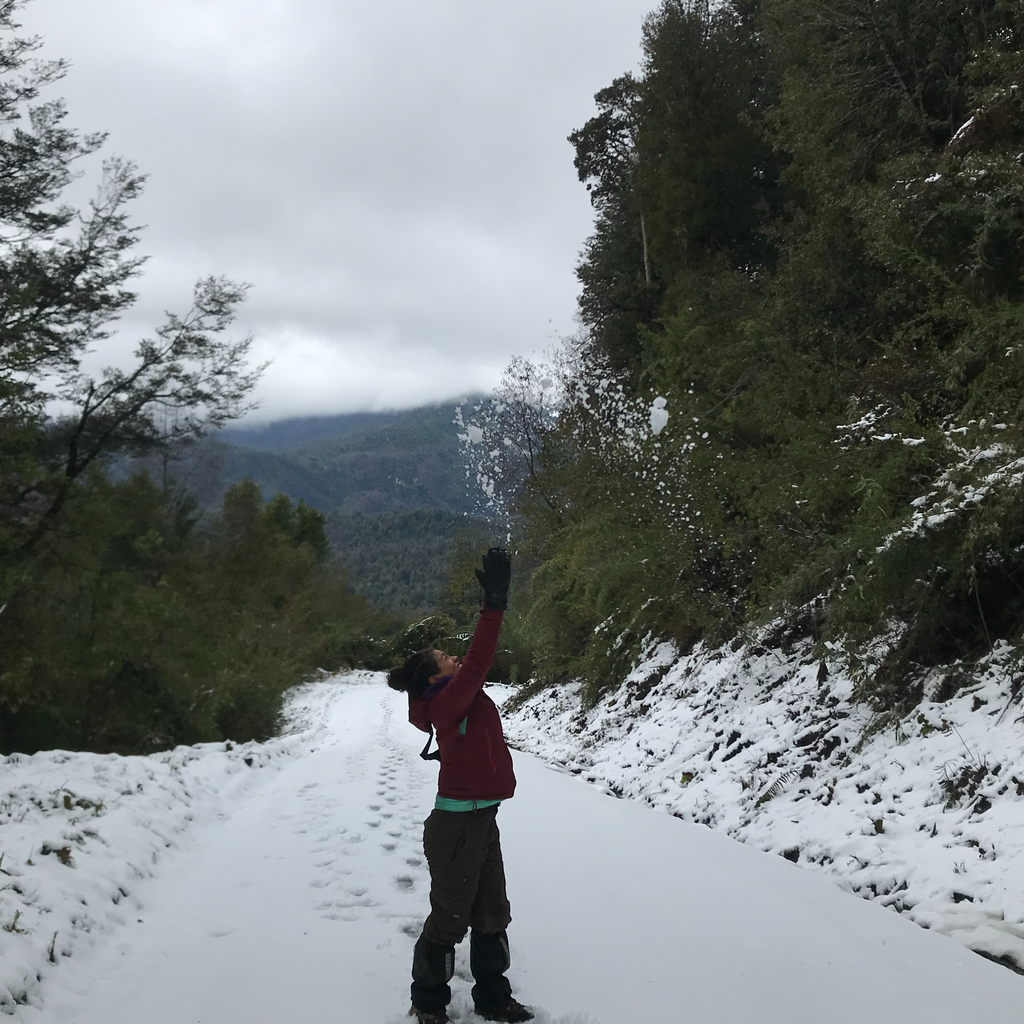 Ascensión a azufreras en Cordón Caulle - Invierno