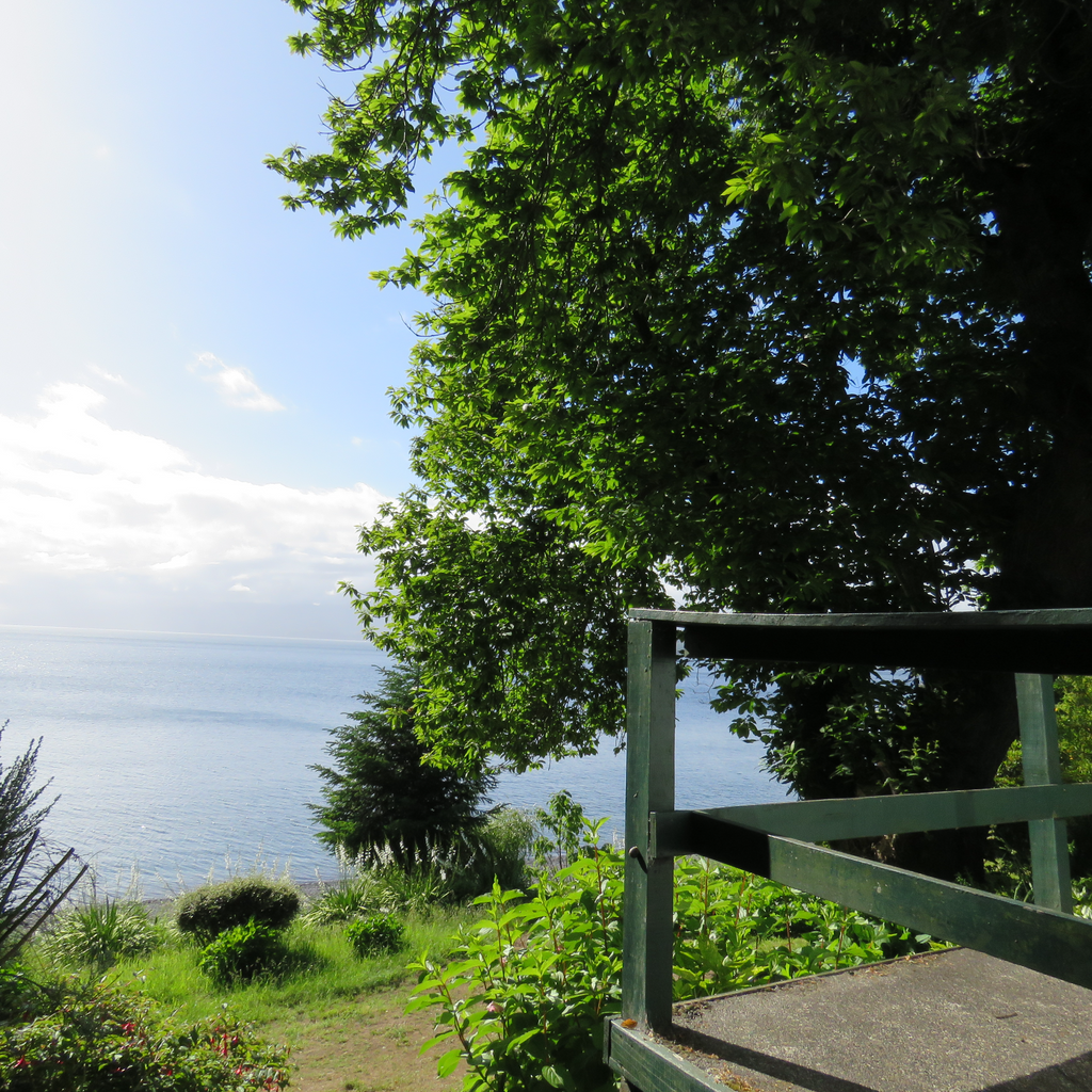 Cabañas Bocalago Lodge - Lago Ranco