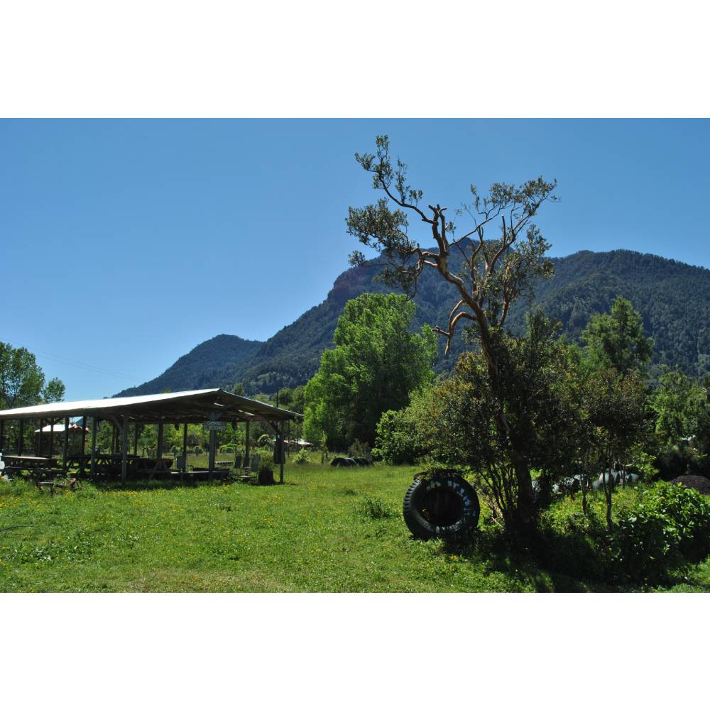 Camping el Descanso - Riñinahue