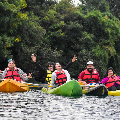 Guided kayak tour: appreciation of the nature of Puerto Octay