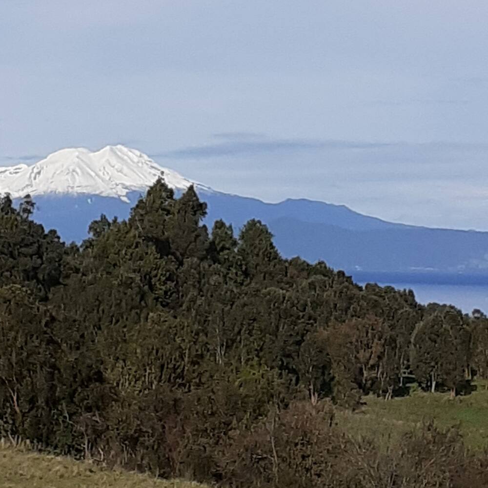Tiny House Las Cascadas, Llanquihue Lake