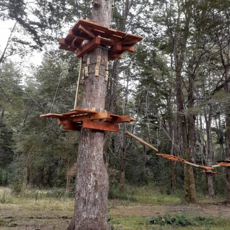 Arborismo en Anticura - Puyehue