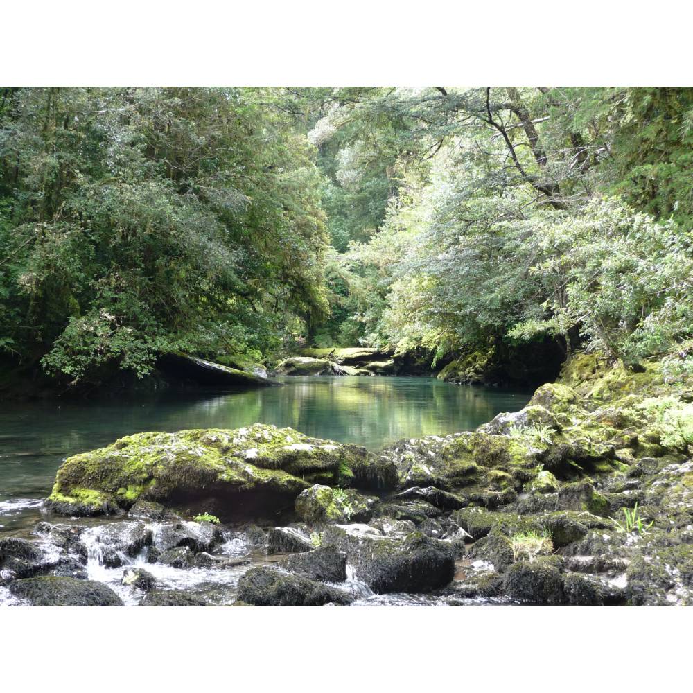 Cabañas Anticura - Puyehue