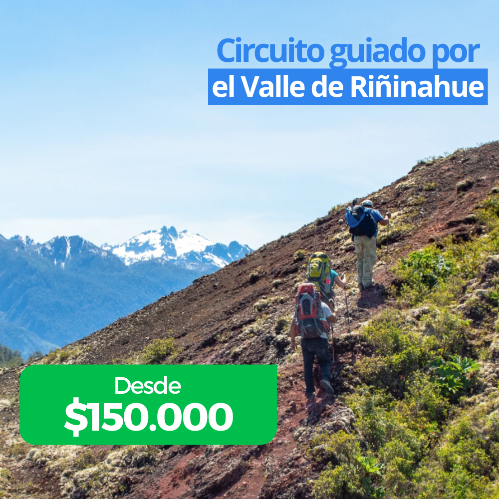 Circuito guiado por el Valle de Riñinahue
