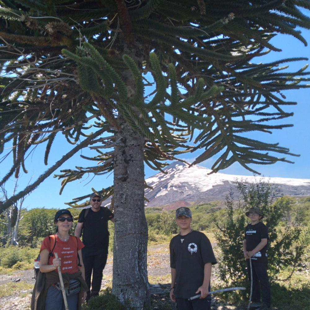 Senderismo Parque Nacional Villarrica y Fortín Mapuche