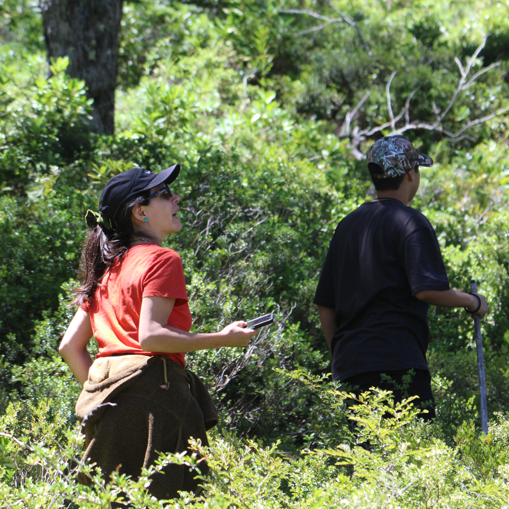 Senderismo Parque Nacional Villarrica y Fortín Mapuche