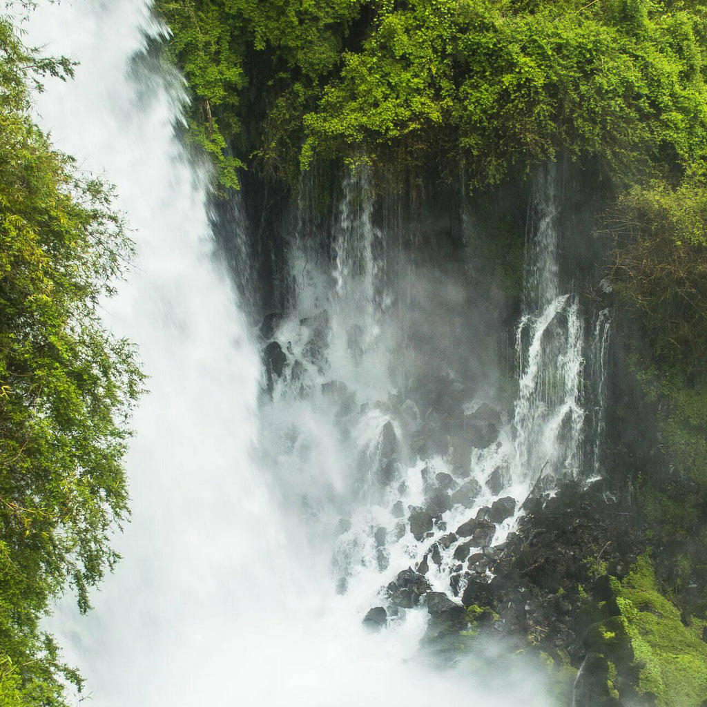 Circuito guiado por el Valle de Riñinahue
