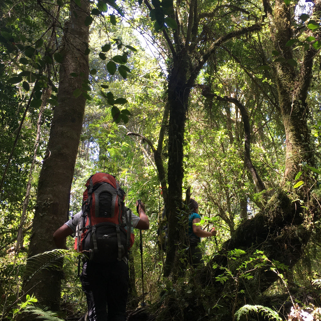 Circuito guiado por el Valle de Riñinahue