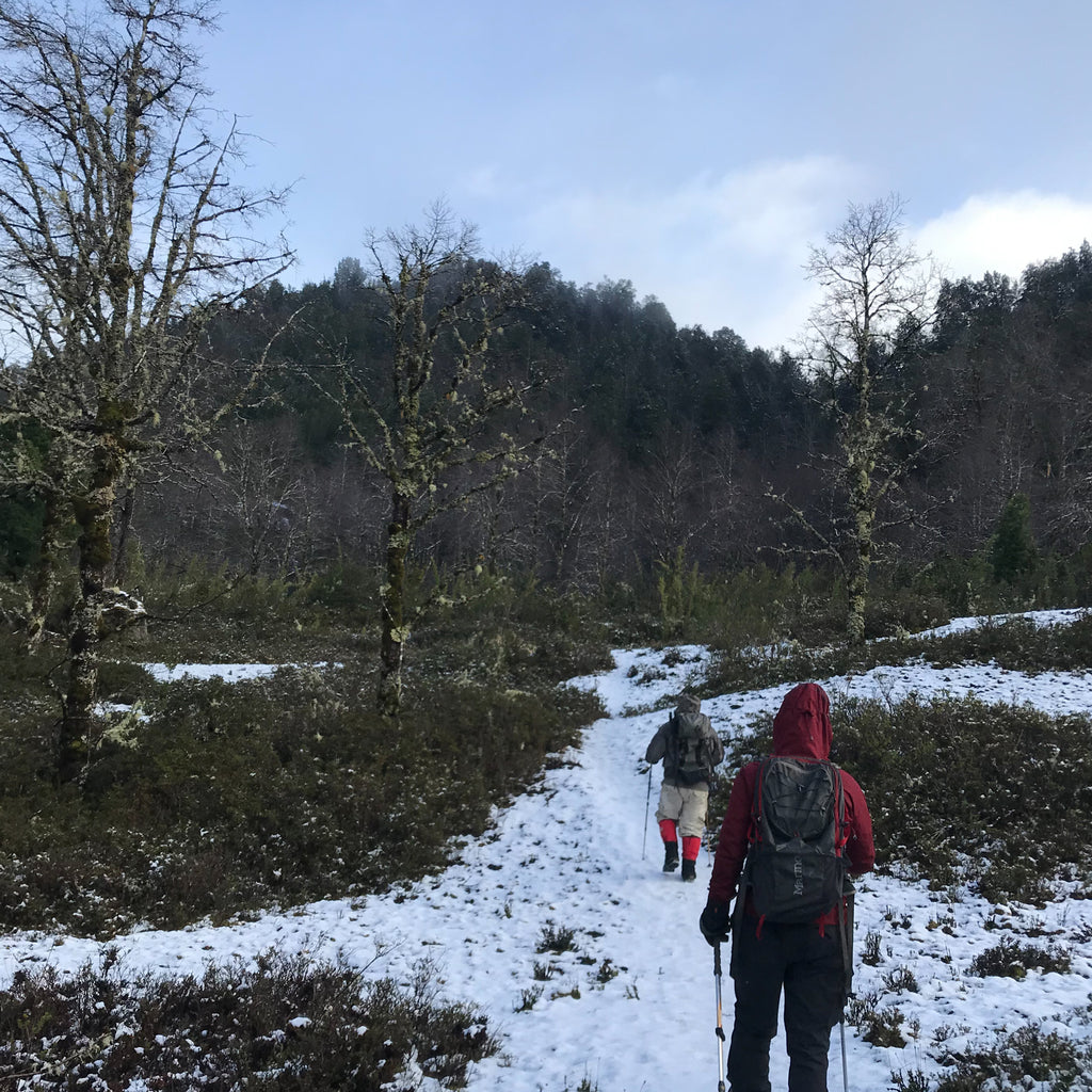 Circuito guiado por el Valle de Riñinahue