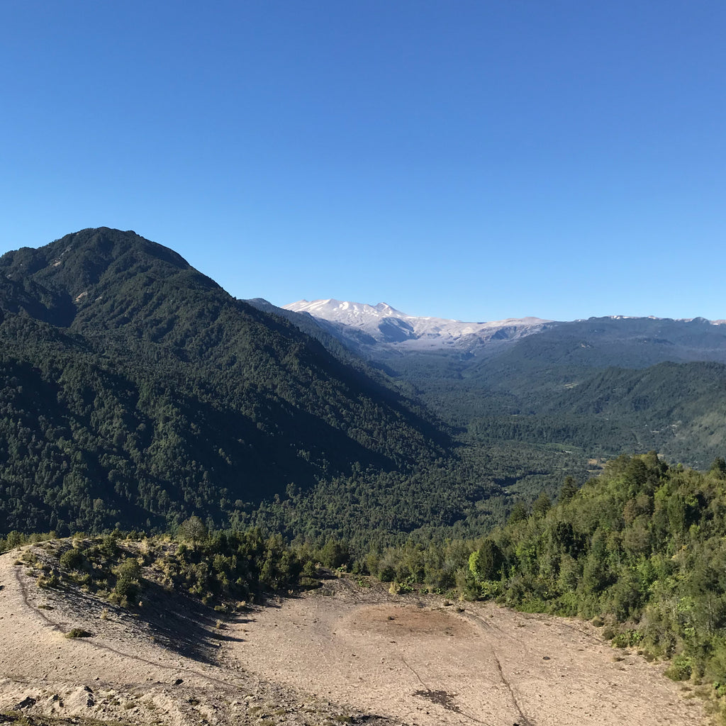 Circuito guiado por el Valle de Riñinahue
