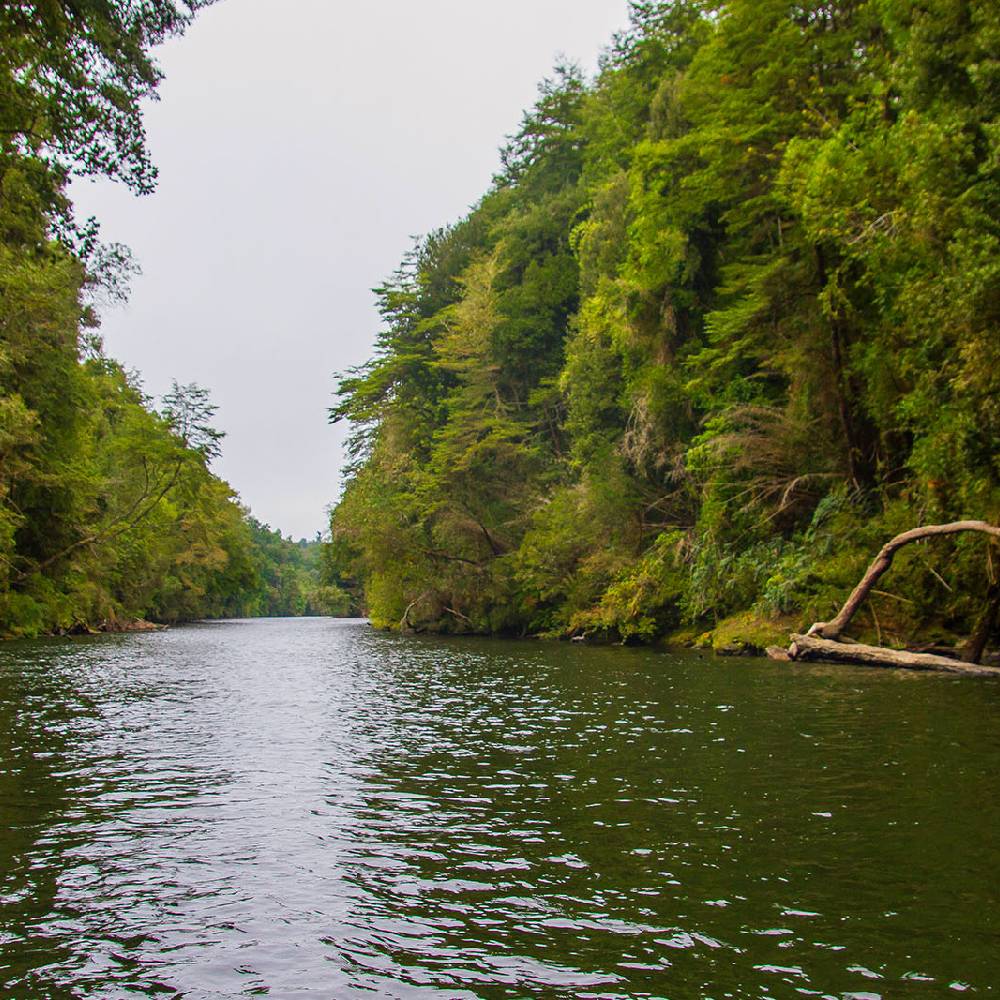 Cabin at Los Lingues Lodge, on the way to Pto Octay.