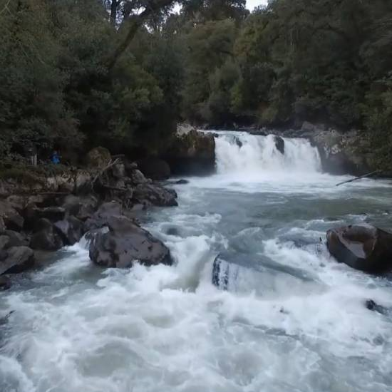 Cabalgata por el río Gol Gol - Puyehue