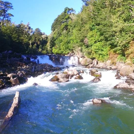 Cabalgata por el río Gol Gol - Puyehue