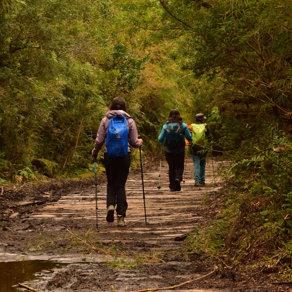 Trekking Lago Cabrera, Hornopirén - Puerto Varas