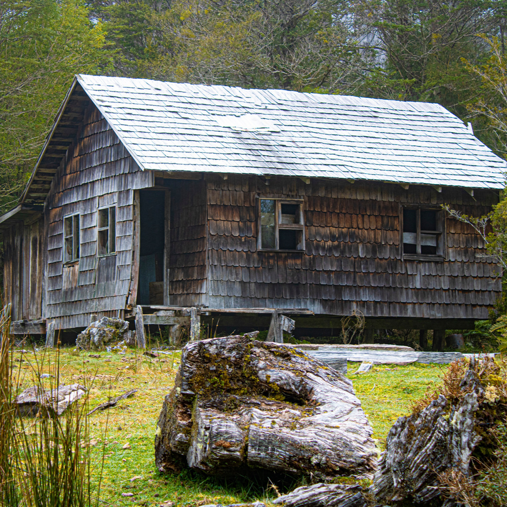 Trekking Lago Cabrera, Hornopirén - Puerto Varas