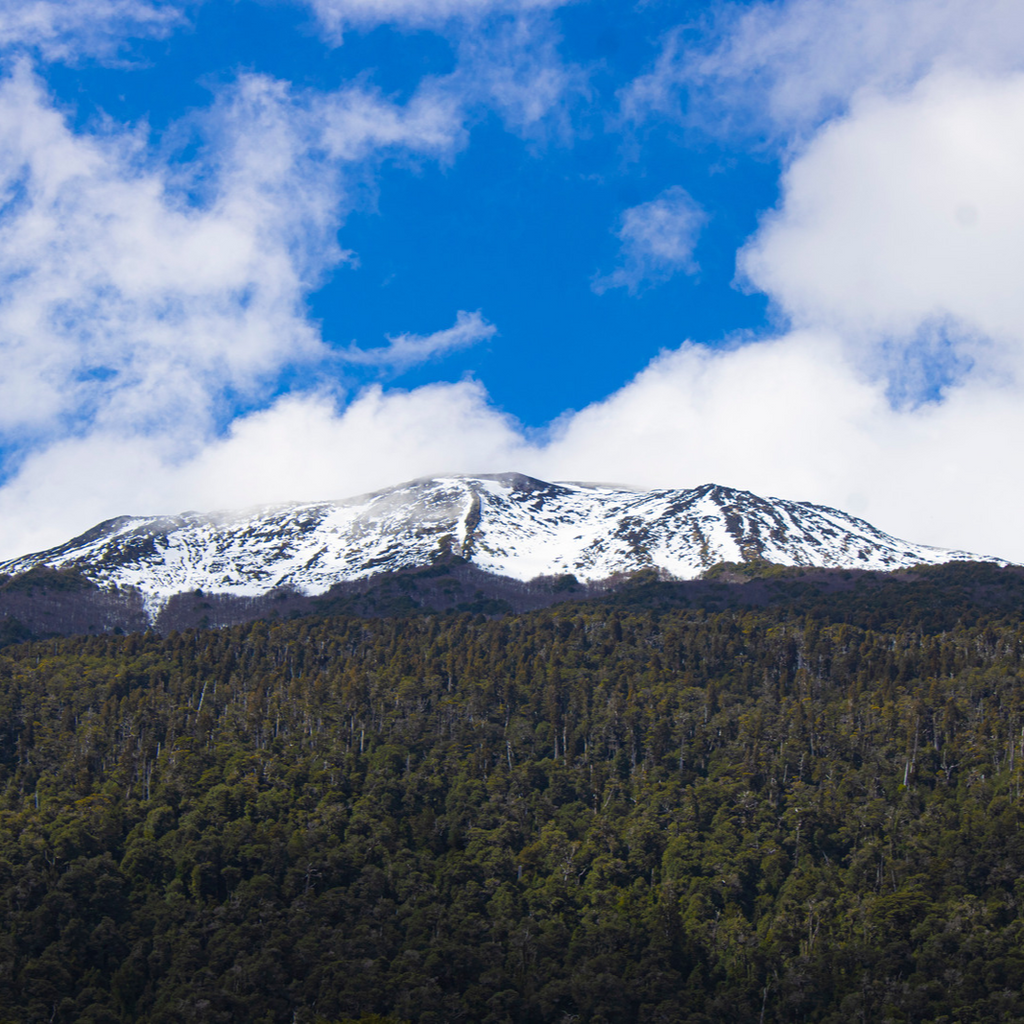 Trekking Lago Cabrera, Hornopirén - Puerto Varas