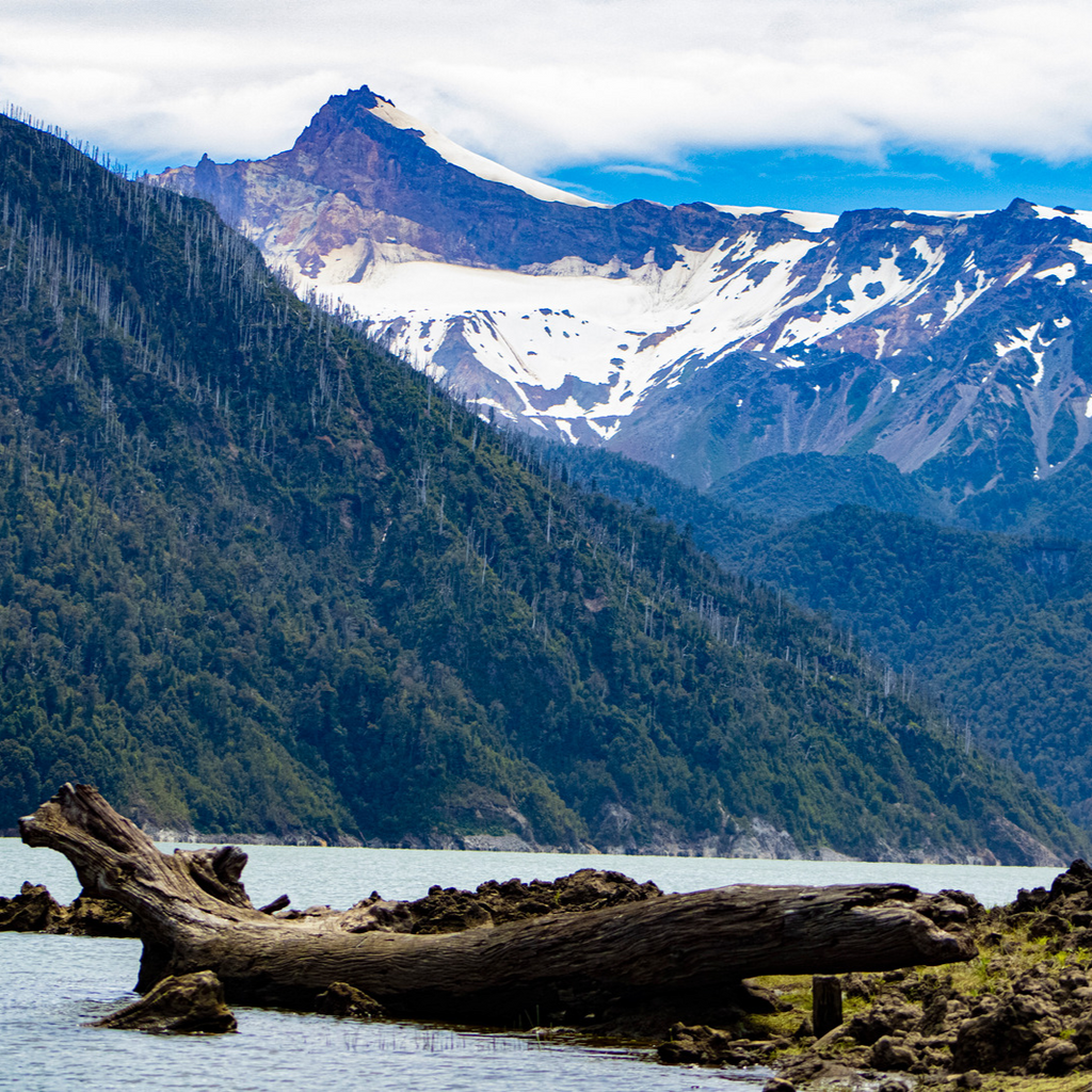 Trekking Lago Cabrera, Hornopirén - Puerto Varas