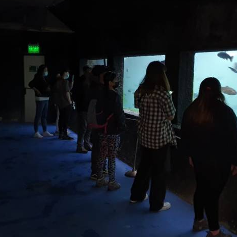 Entradas Acuario y Granja Lago Puyehue