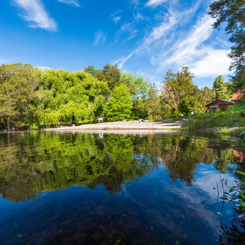 Cabañas Los Copihues - Puyehue