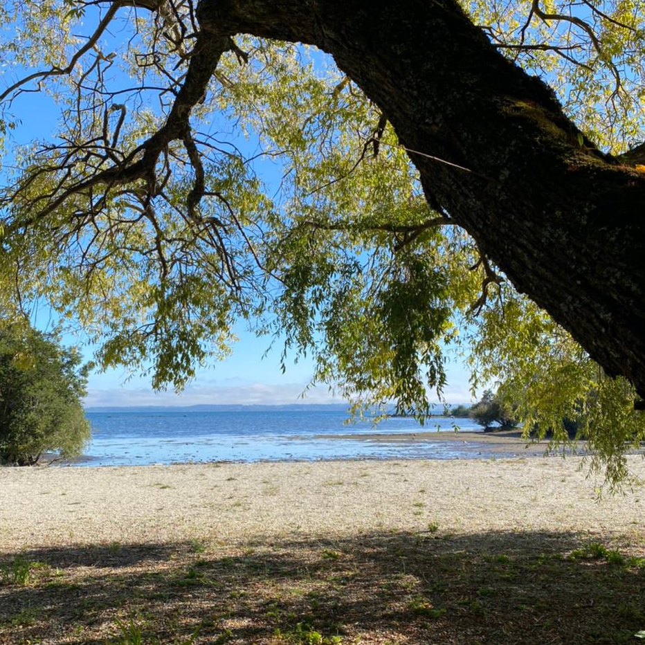 Cabañas Los Copihues - Puyehue