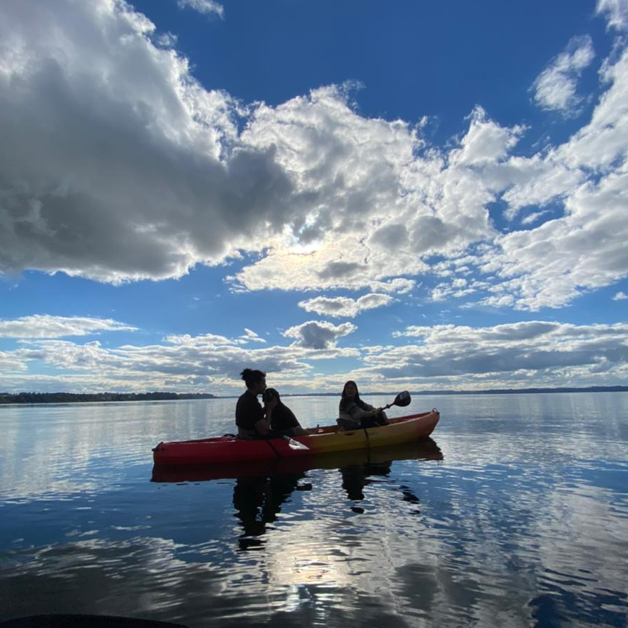Cabañas Los Copihues - Puyehue