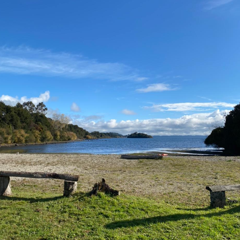 Cabañas Los Copihues - Puyehue
