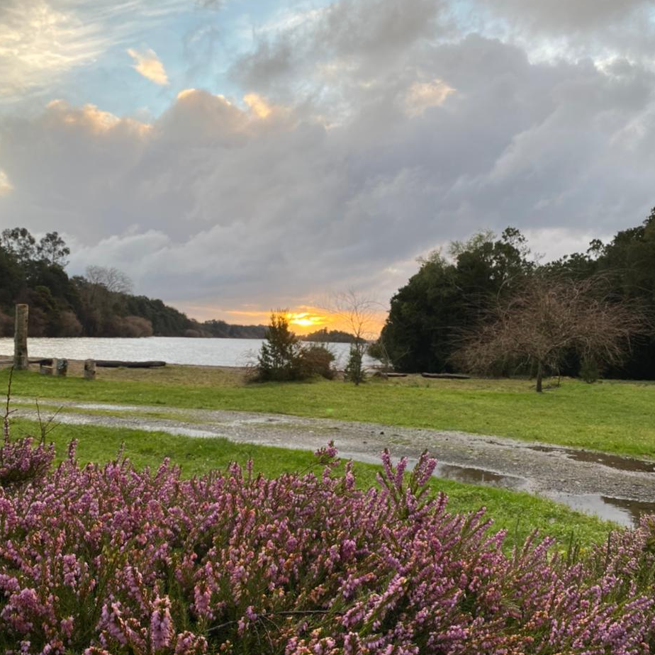 Cabañas Los Copihues - Puyehue