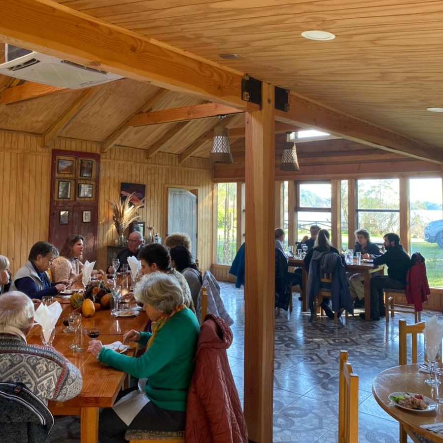Cabañas Los Copihues - Puyehue