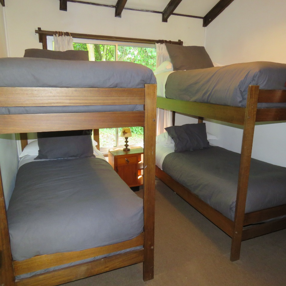 Cabañas Bocalago Lodge - Lago Ranco