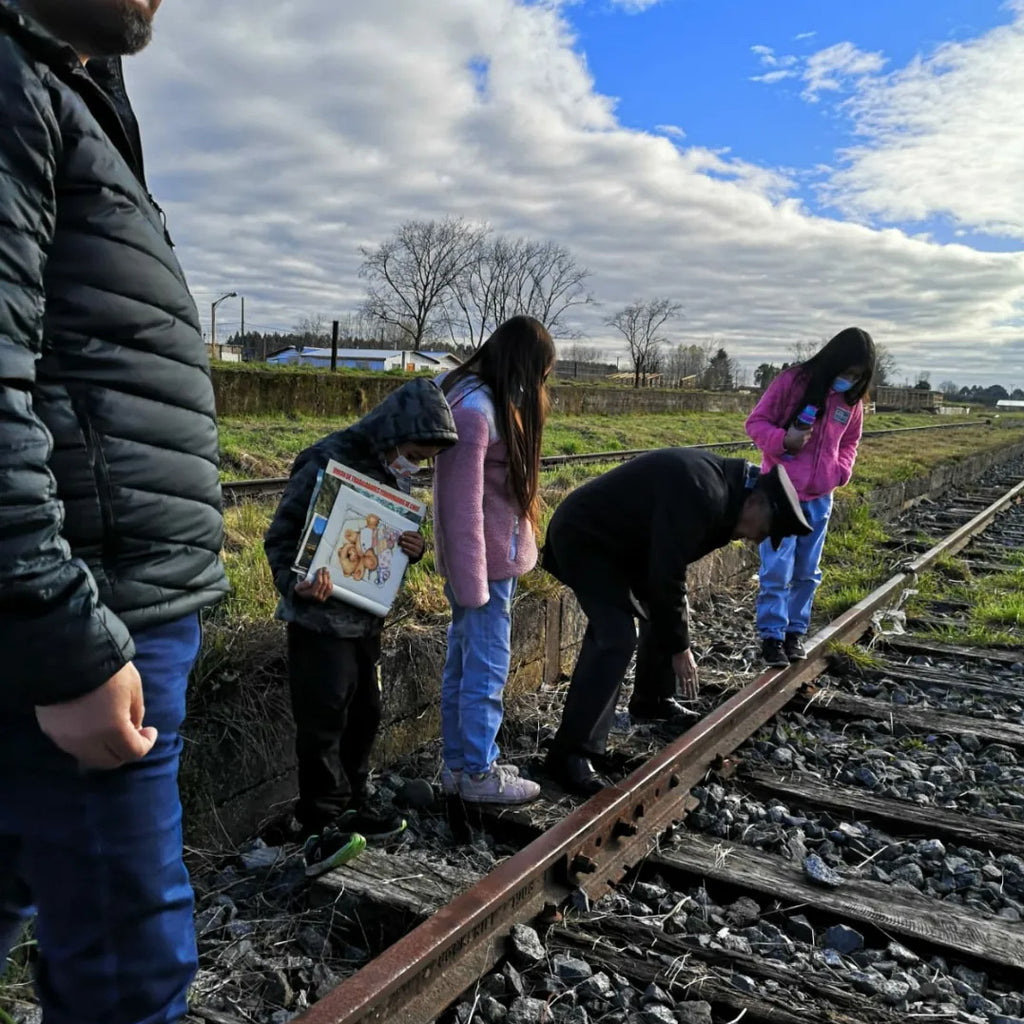Guided cultural walk in Frutillar