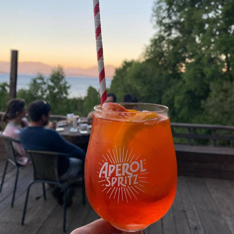 Café del Bosque en Ranco