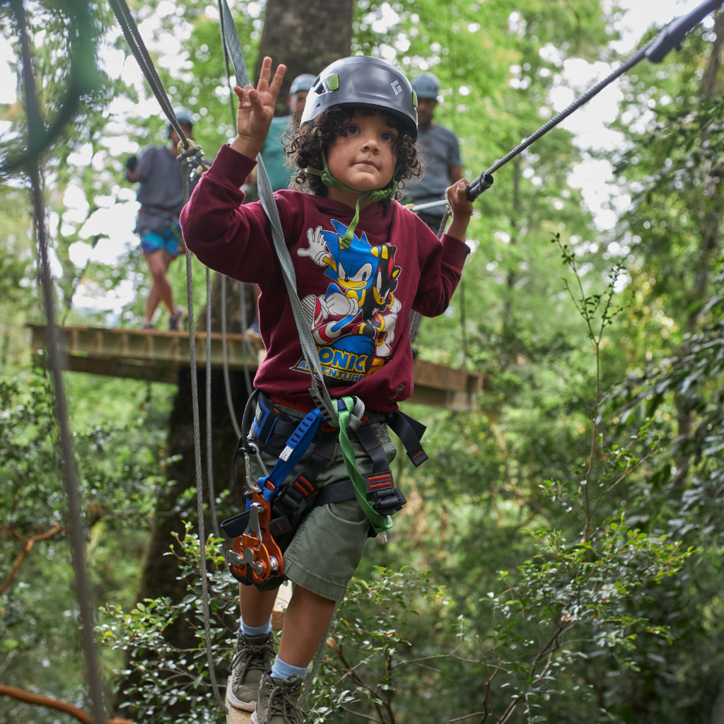 Arborismo en Parque Neltume
