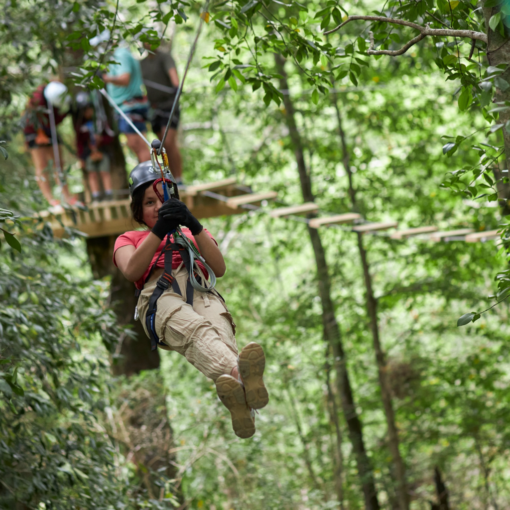 Arborismo en Parque Neltume