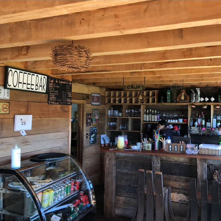 Café del Bosque en Ranco