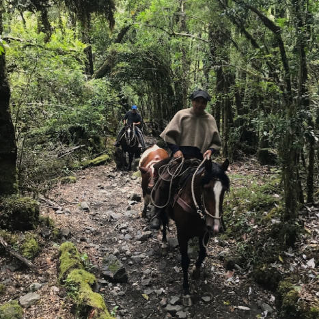 Cabalgata a Cayutué - Servicio premium