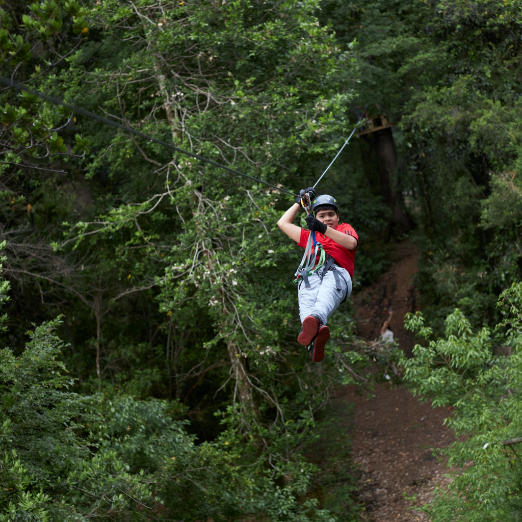 Canopy en Parque Neltume