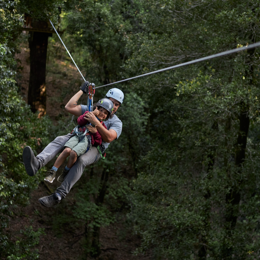 Canopy en Parque Neltume