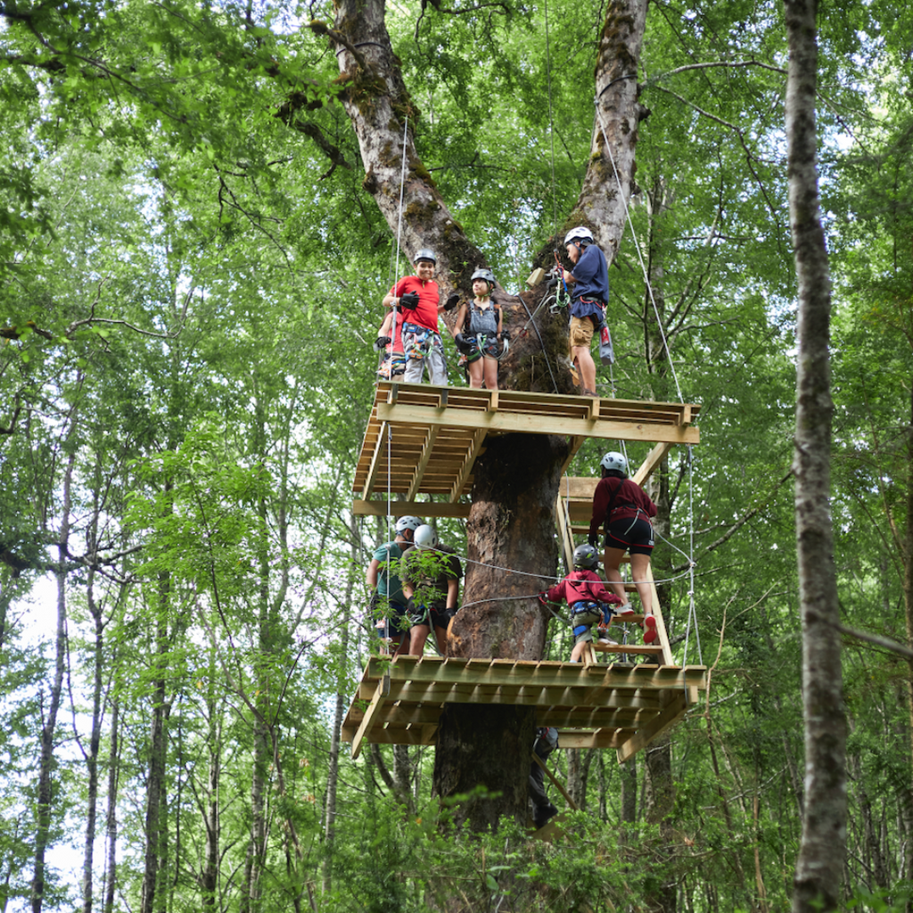 Canopy en Parque Neltume