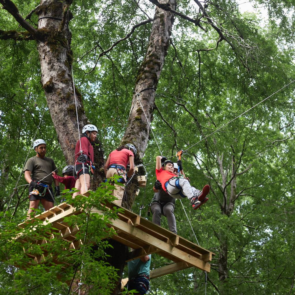 Canopy en Parque Neltume